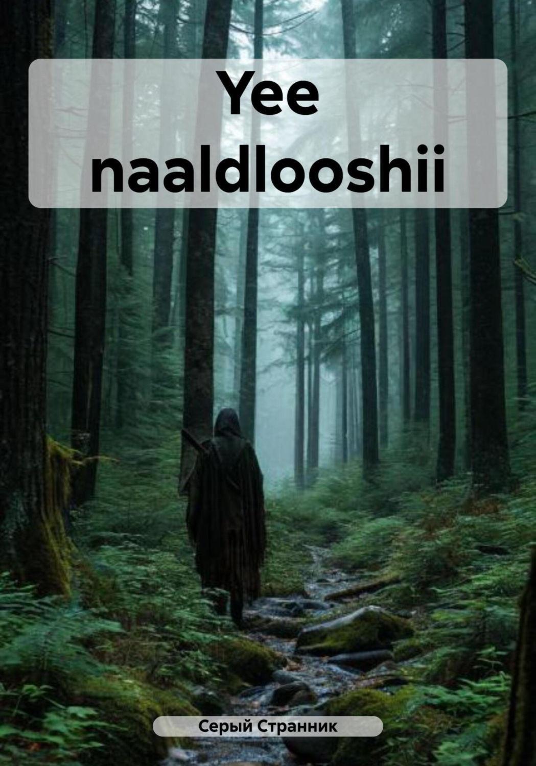 Обложка книги «Yee naaldlooshii»