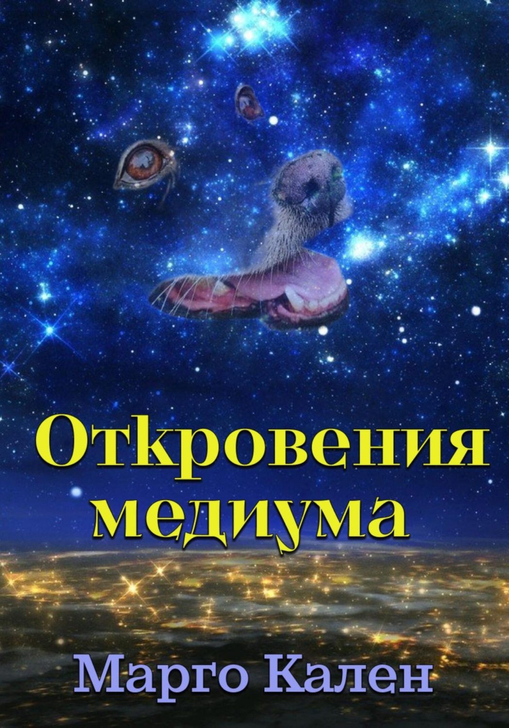 Обложка книги «Откровения медиума»