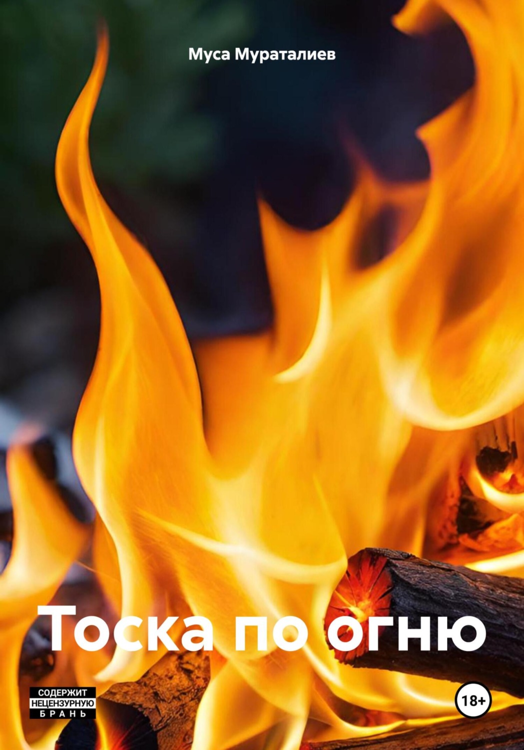 Обложка книги «Тоска по огню»