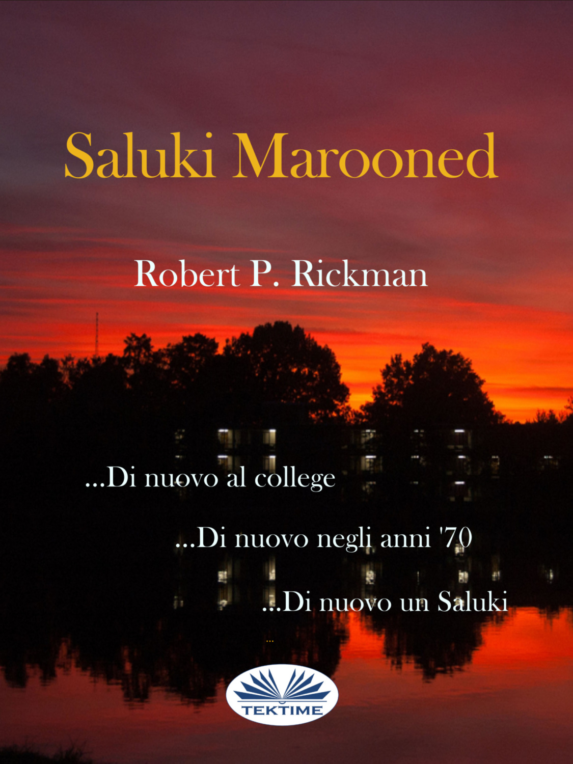 Обложка книги «Saluki Marooned»