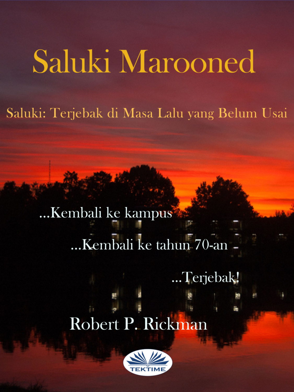 Обложка книги «Saluki Marooned»