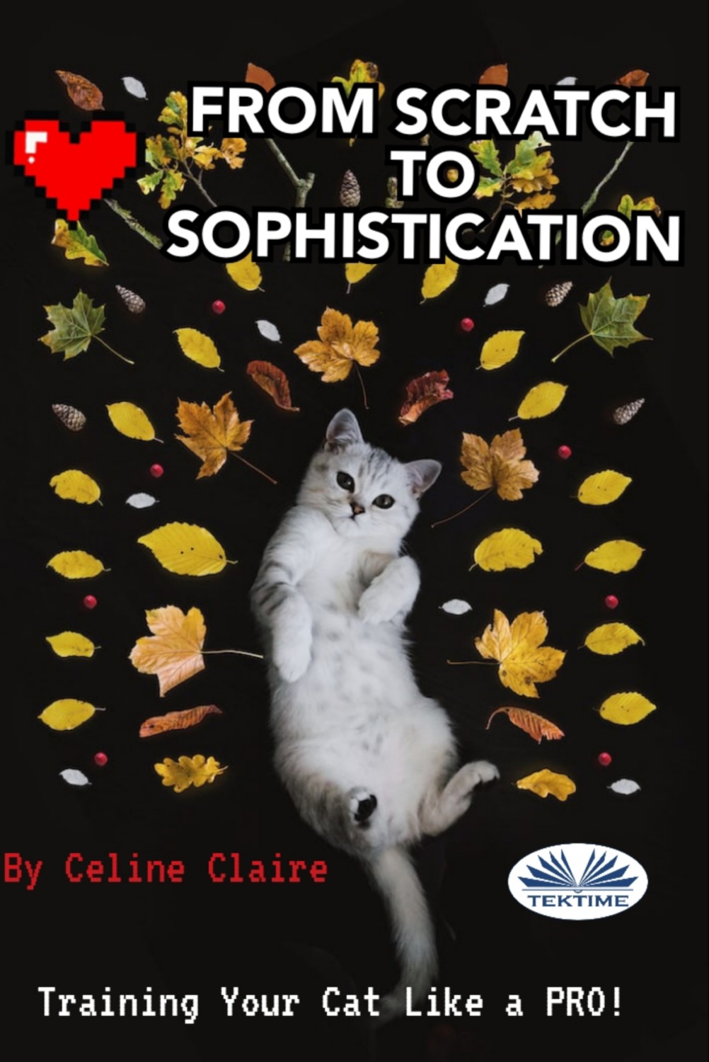 Обложка книги «From Scratch To Sophistication»