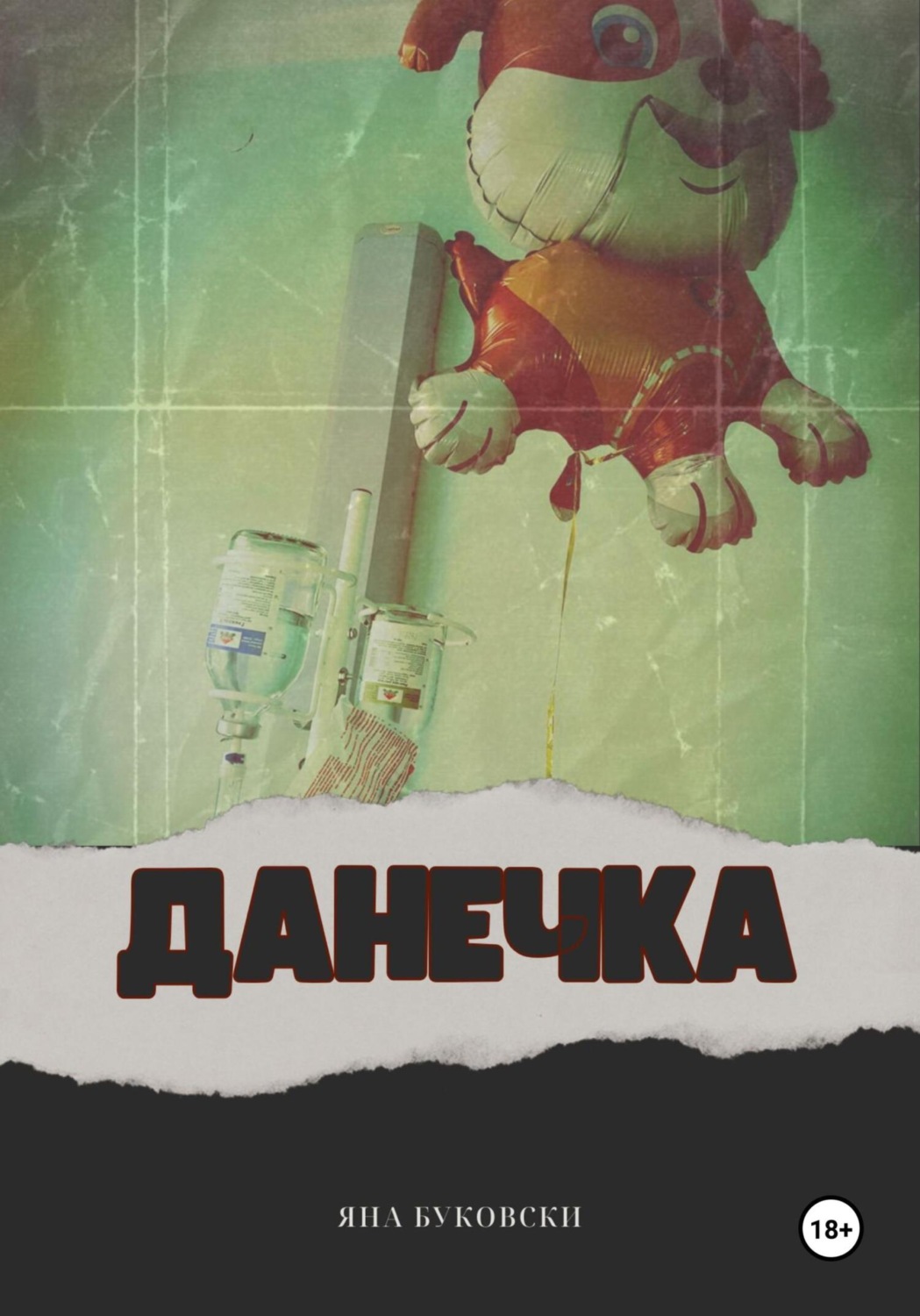 Обложка книги «Данечка»