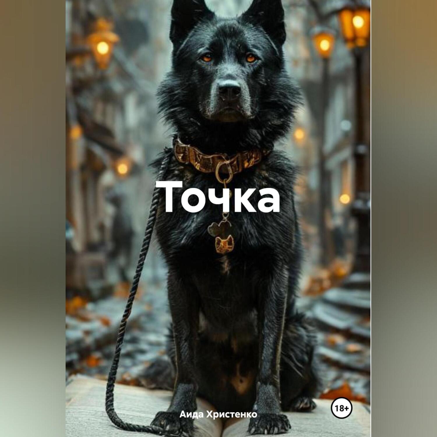 Обложка книги «Точка»