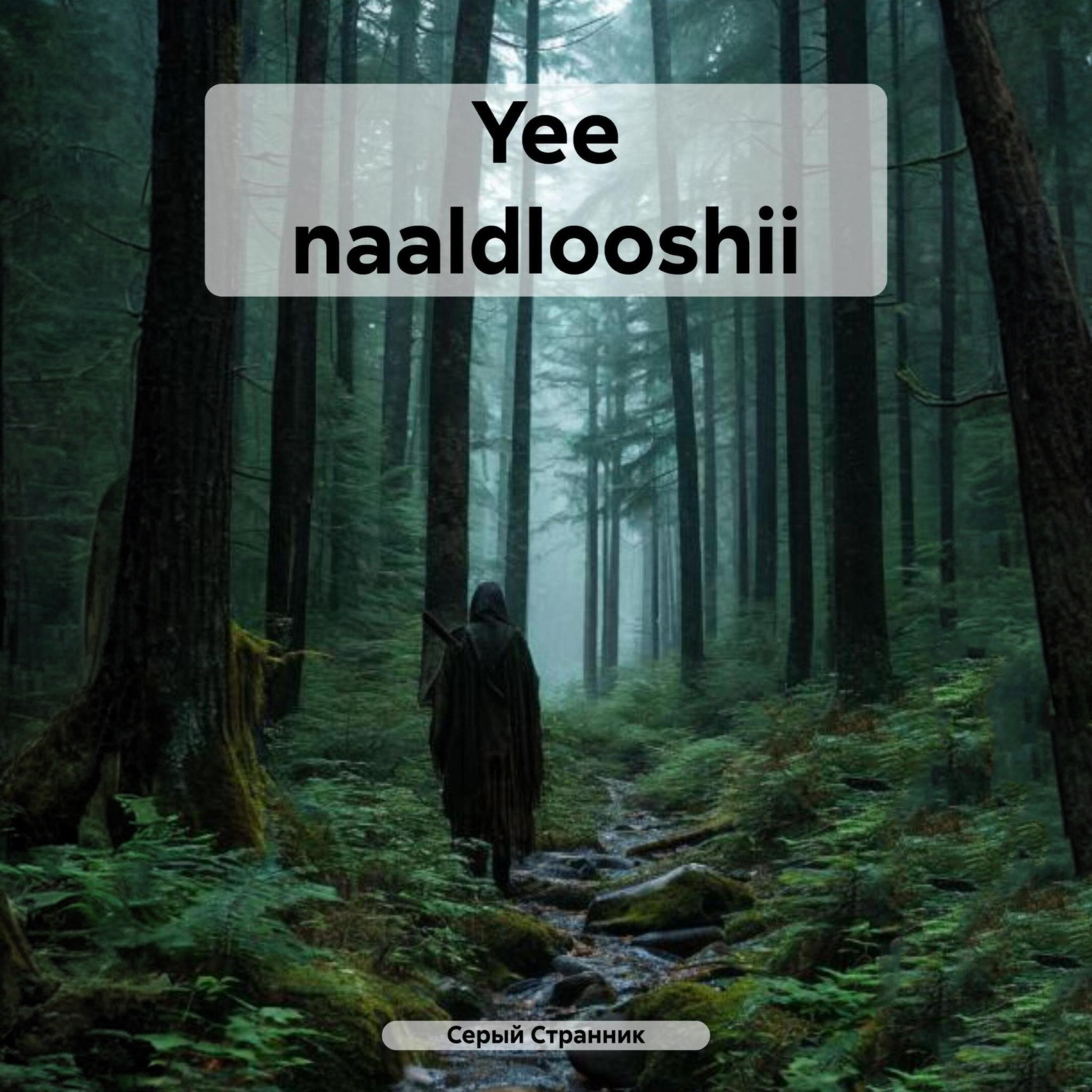 Обложка книги «Yee naaldlooshii»