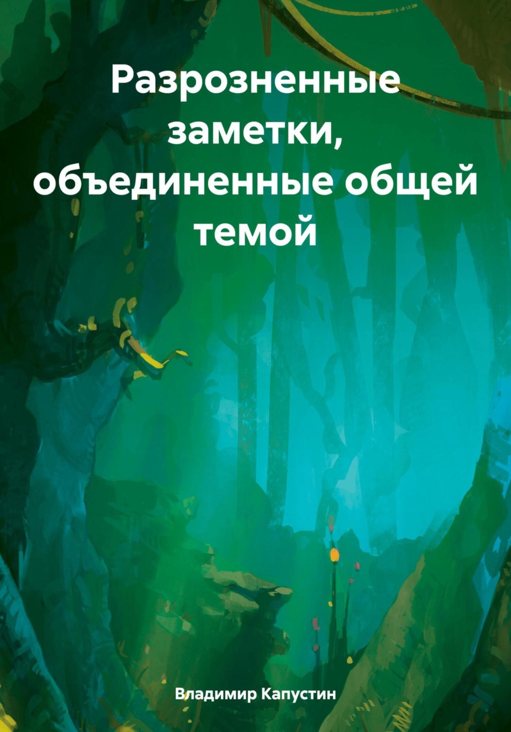 Обложка книги «Разрозненные заметки, объединенные общей темой»