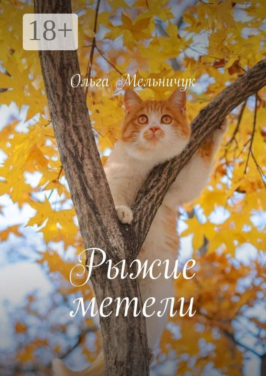 Обложка книги «Рыжие метели»