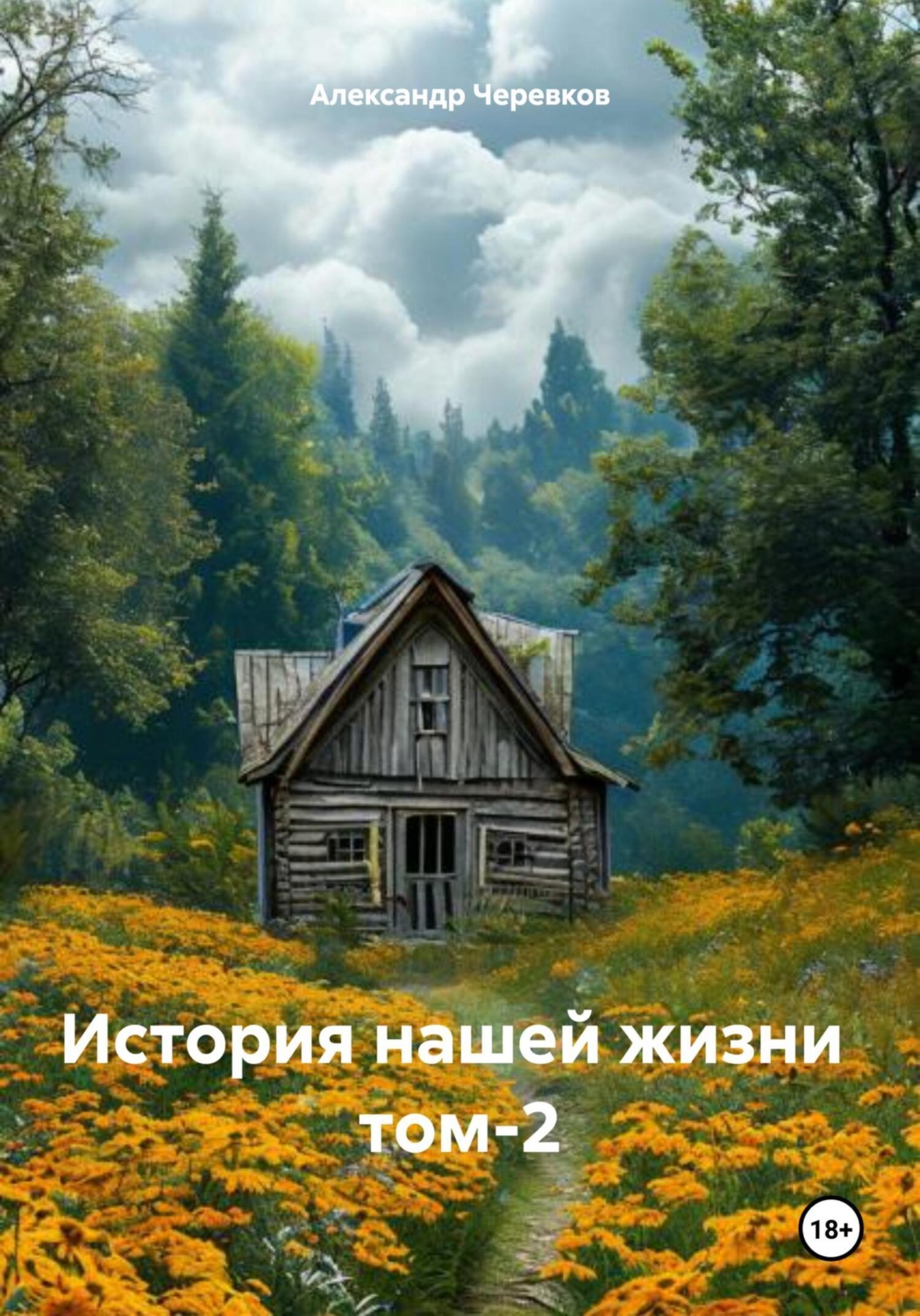 Обложка книги «История нашей жизни Том-2»