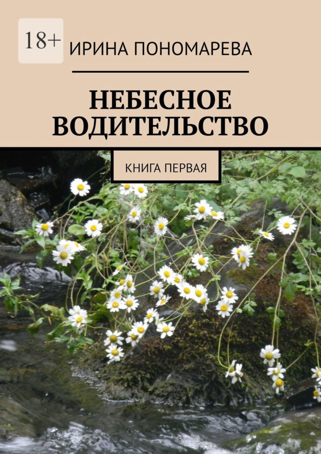 Обложка книги «Небесное водительство. Книга первая»