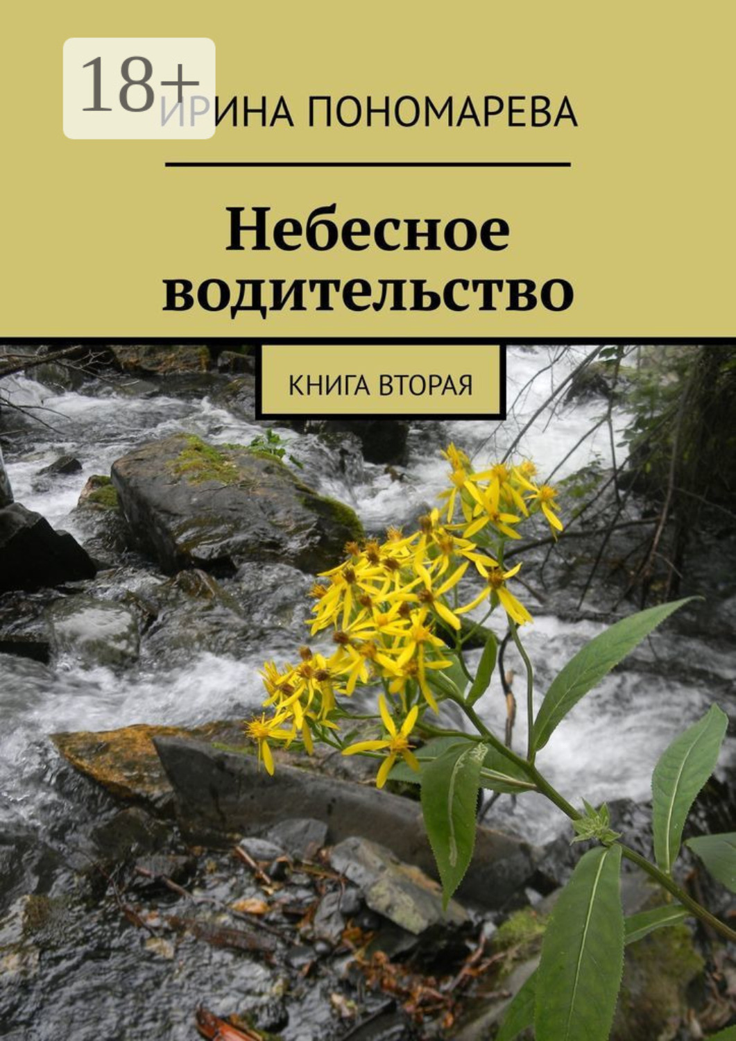 Обложка книги «Небесное водительство. Книга вторая»