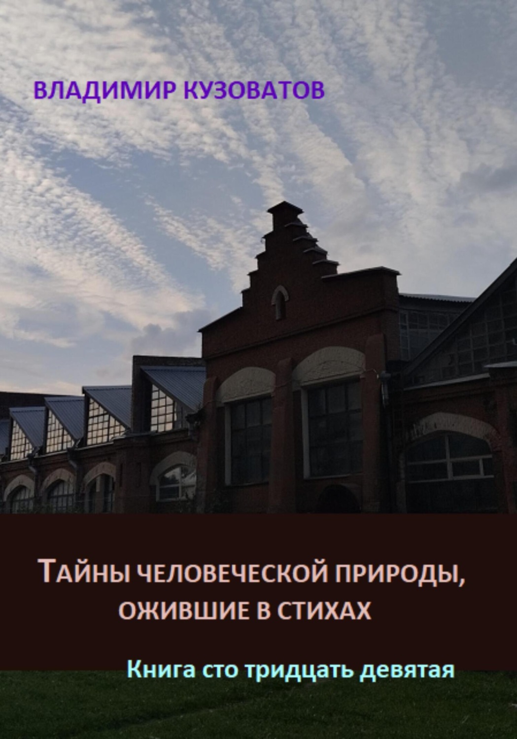 Обложка книги «Тайны человеческой природы, ожившие в стихах. Книга сто тридцать девятая»