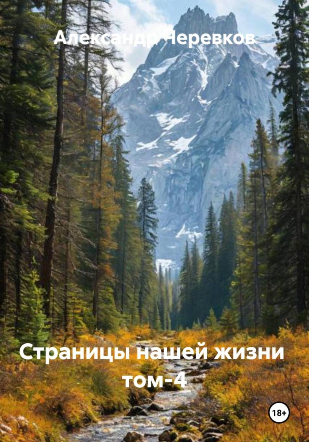 Обложка книги «Страницы нашей жизни Том-4»