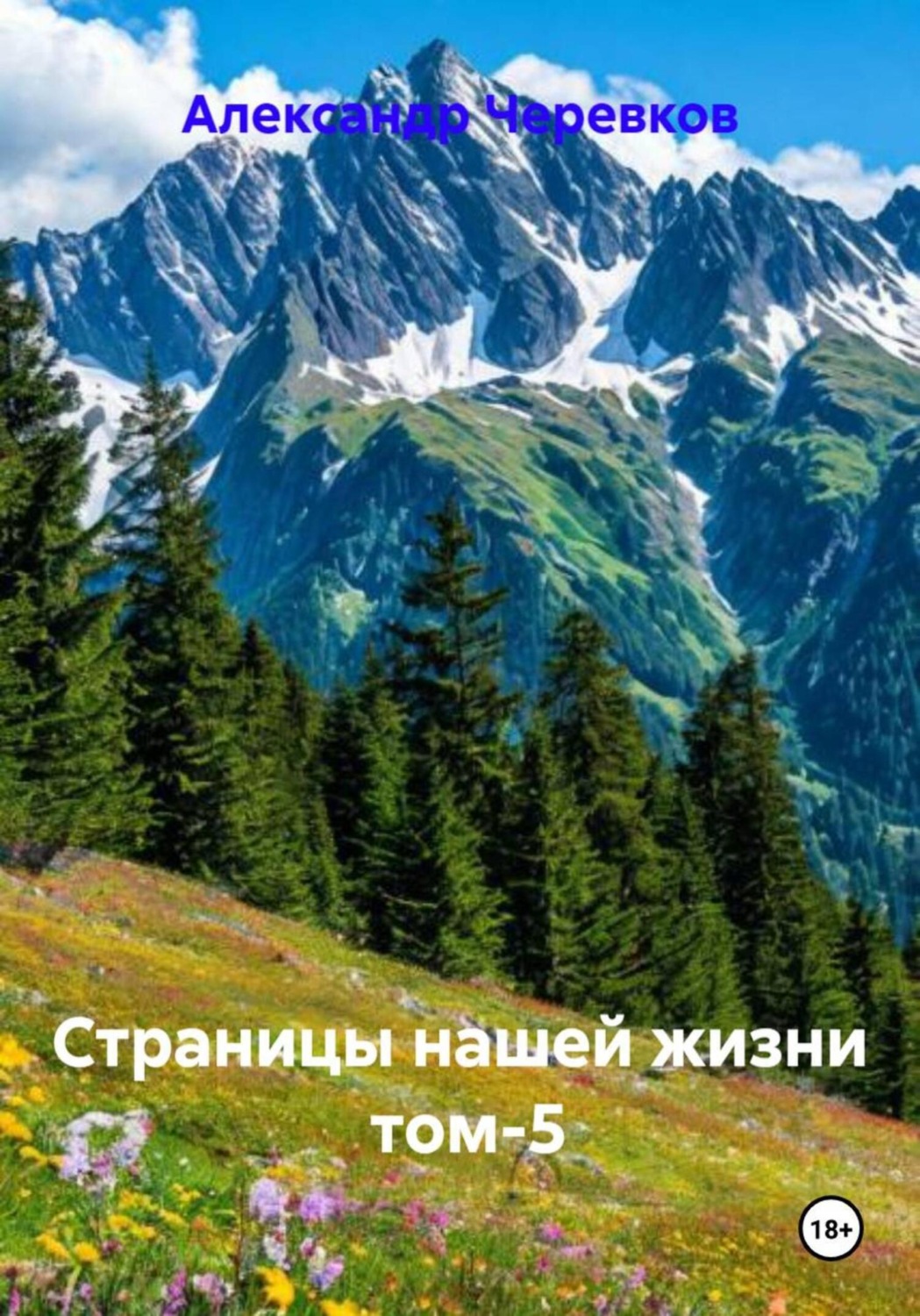 Обложка книги «Страницы нашей жизни Том-5»