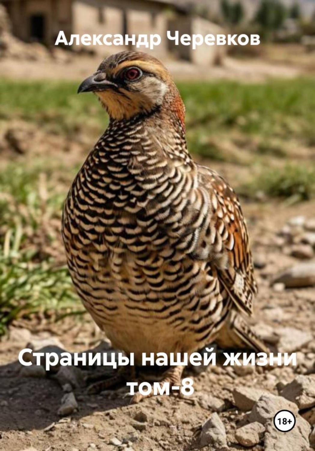 Обложка книги «Страницы нашей жизни Том-8»