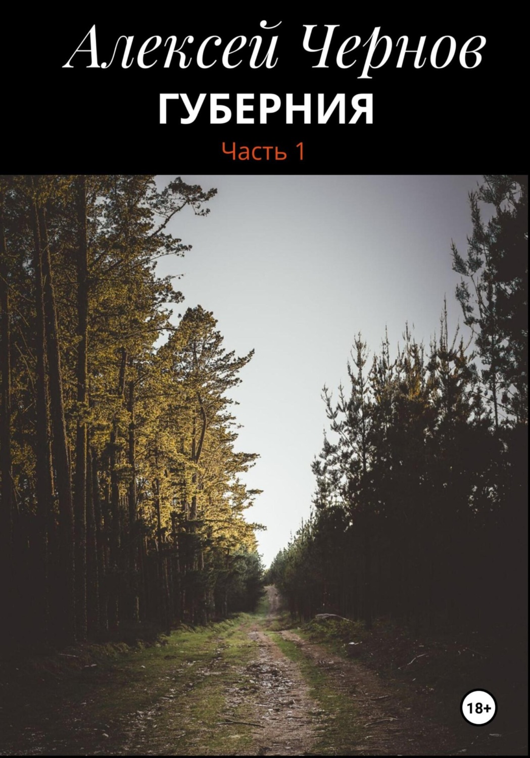 Обложка книги «Губерния. Часть 1»