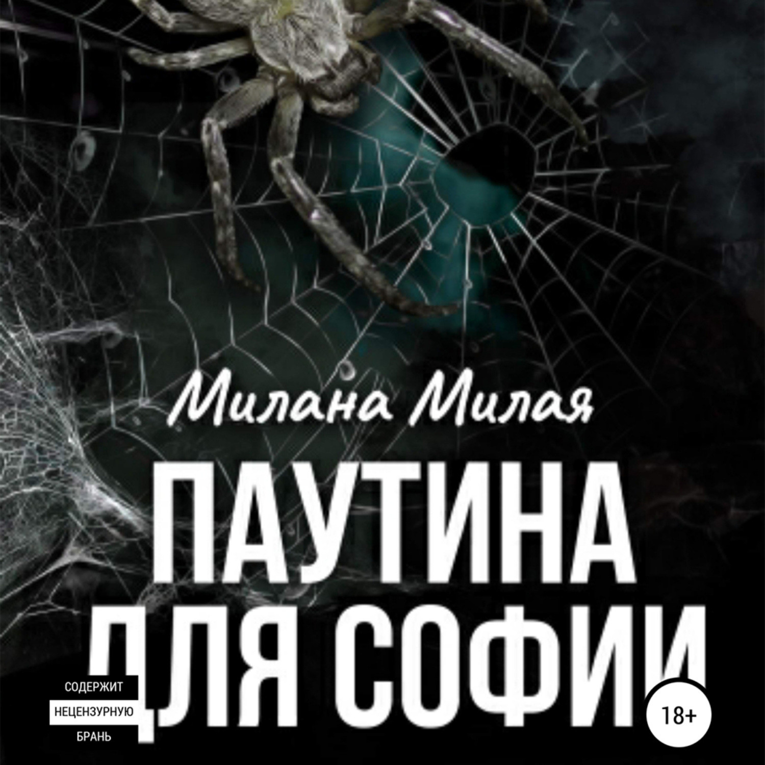 Обложка книги «Паутина для Софии»