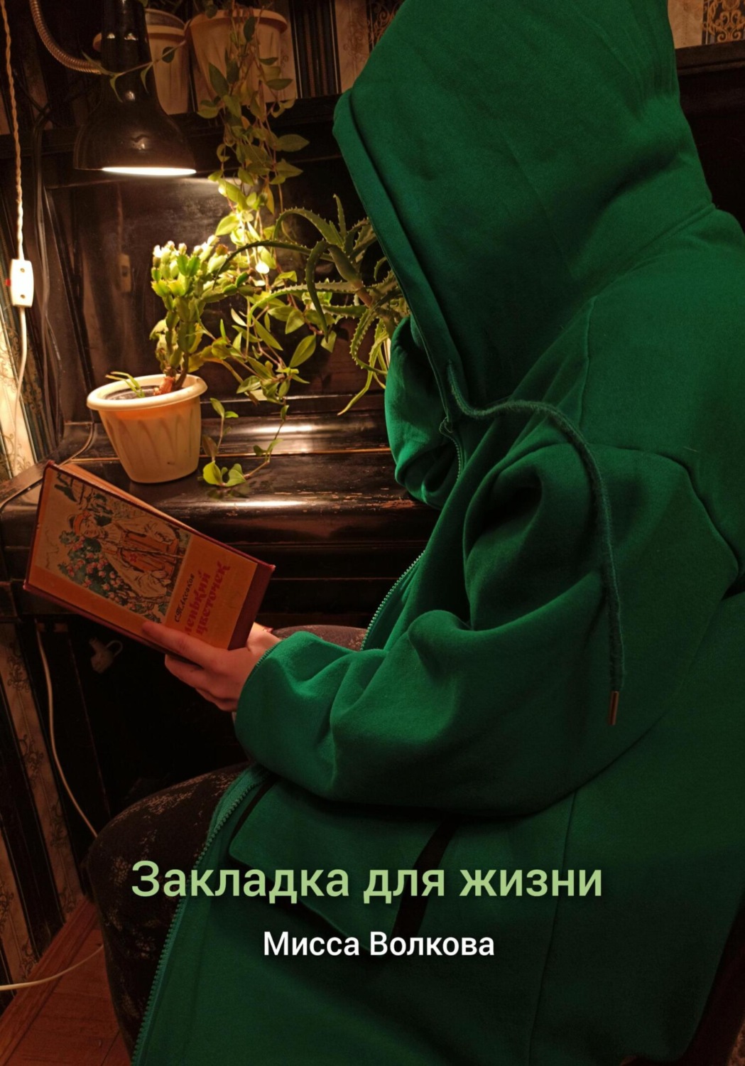 Обложка книги «Закладка для жизни»