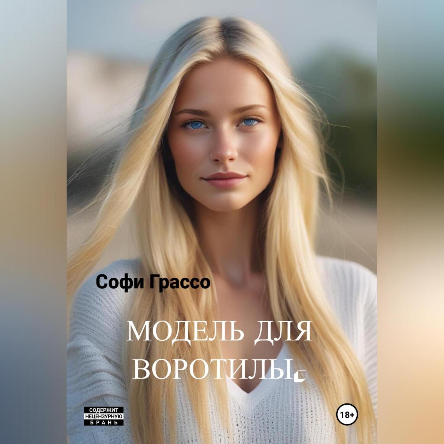 Обложка книги «Модель для Воротилы»