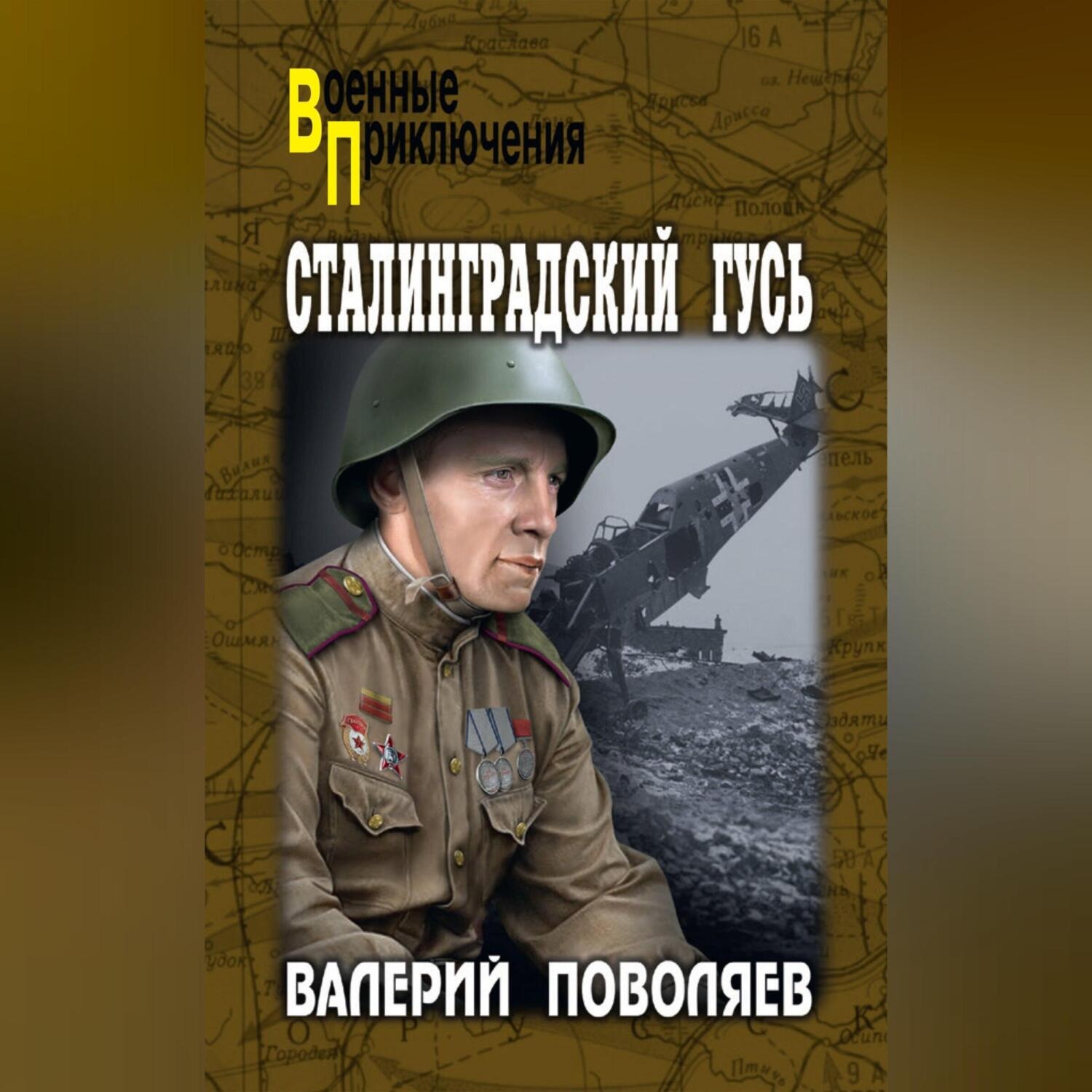 Обложка книги «Сталинградский гусь»