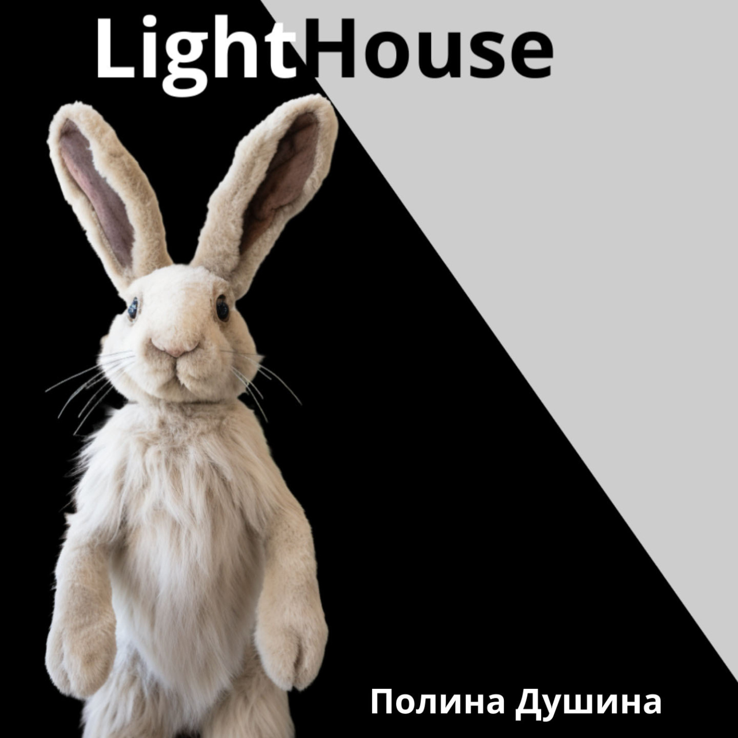 Обложка книги «LightHouse»