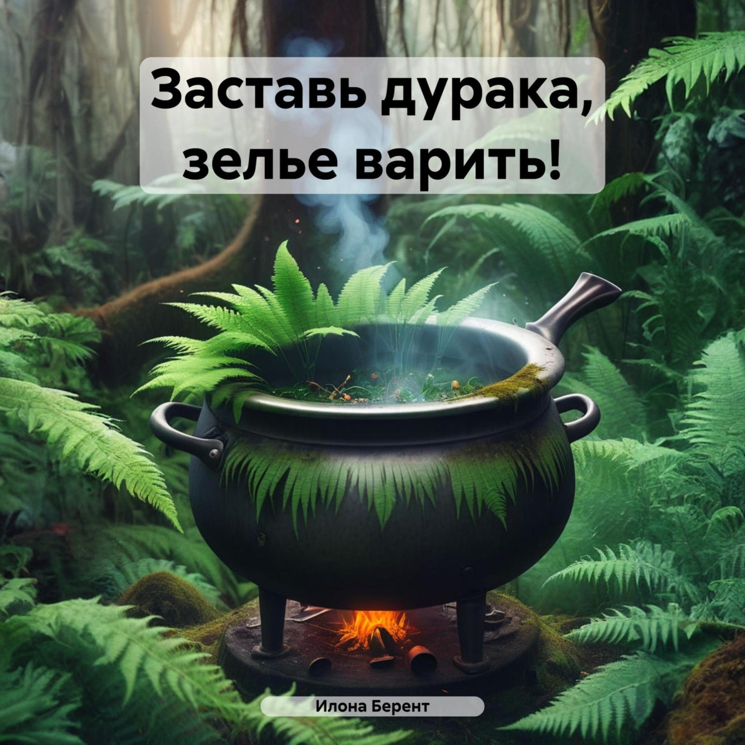 Обложка книги «Заставь дурака, зелье варить!»