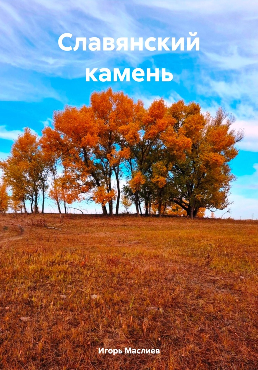 Обложка книги «Славянский камень»