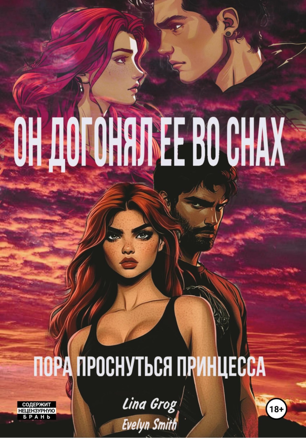 Обложка книги «Он догонял ее во снах: пора проснуться принцесса»
