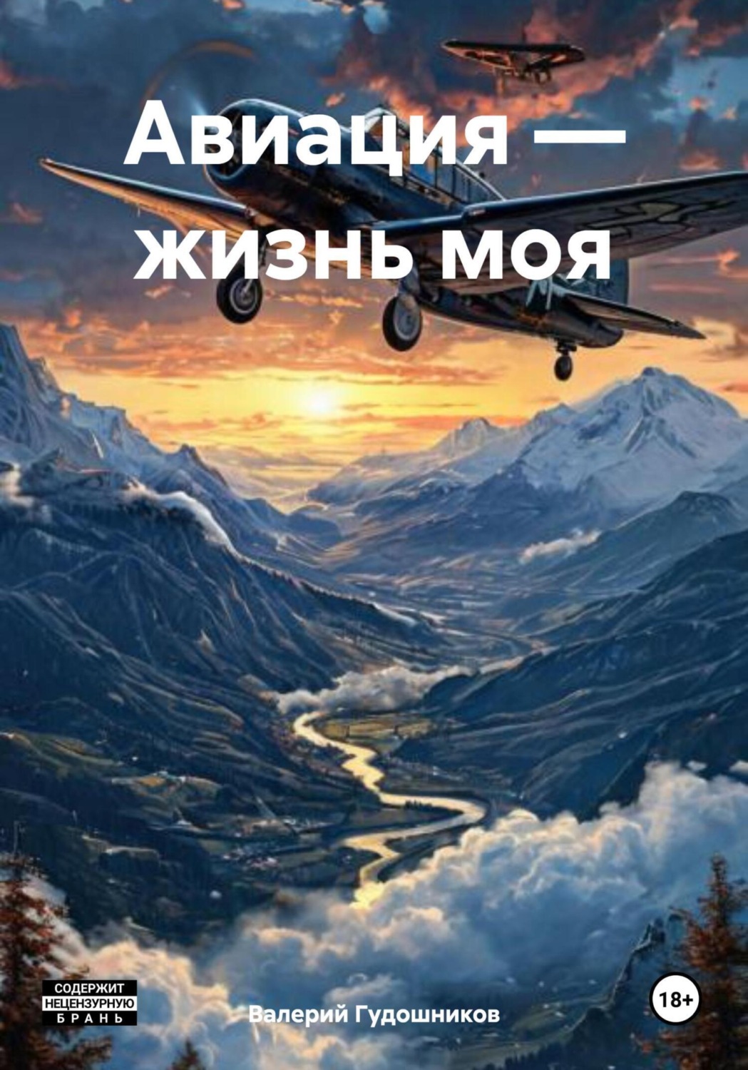 Обложка книги «Авиация – жизнь моя»