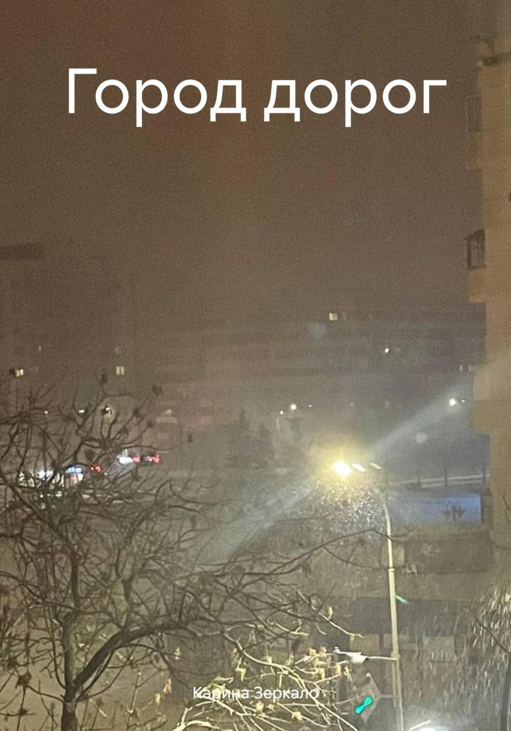Обложка книги «Город дорог»