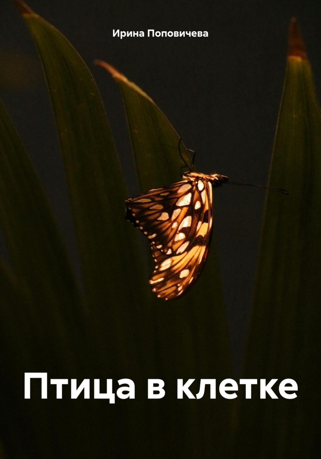 Обложка книги «Птица в клетке»