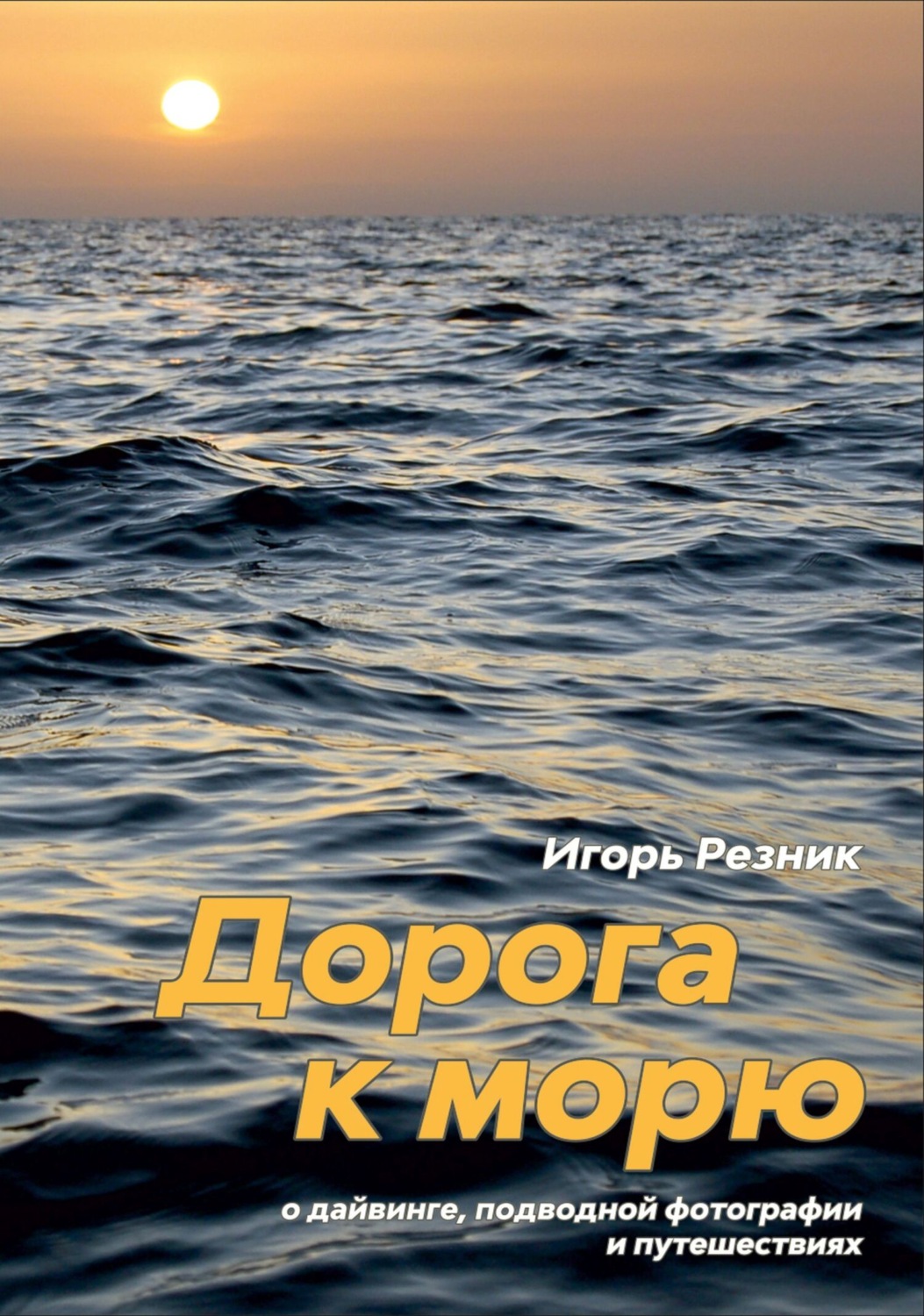 Обложка книги «Дорога к морю. О дайвинге, подводной фотографии и путешествиях»