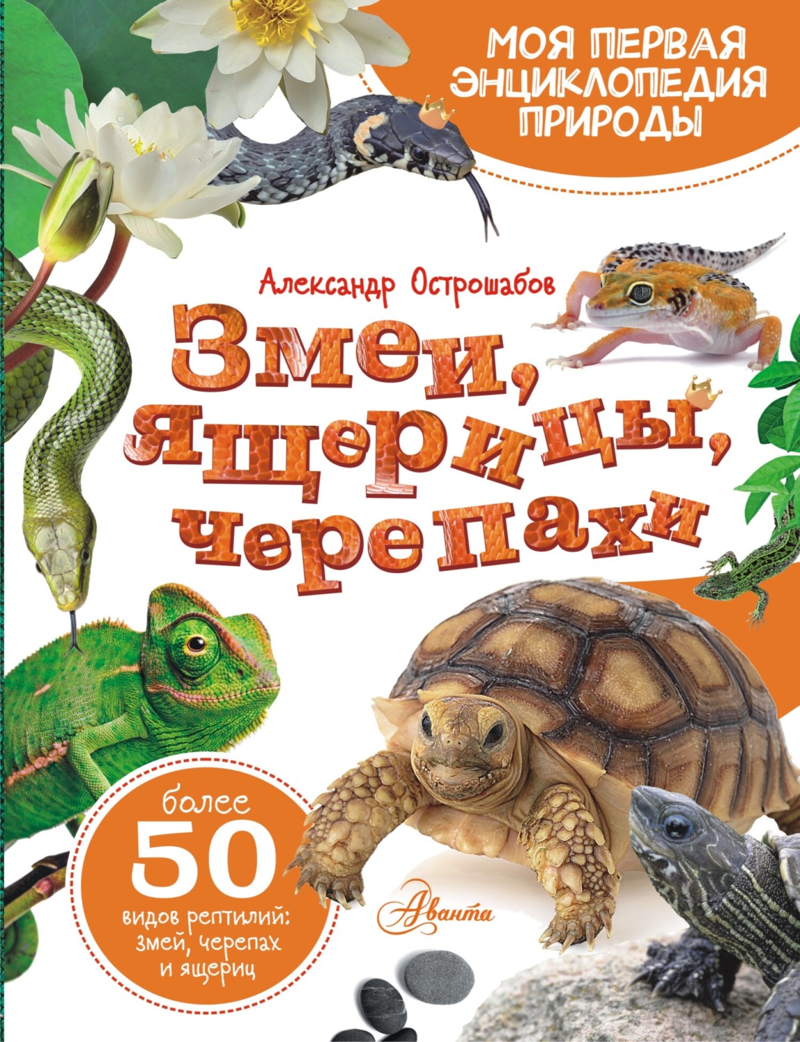Обложка книги «Змеи, ящерицы, черепахи»