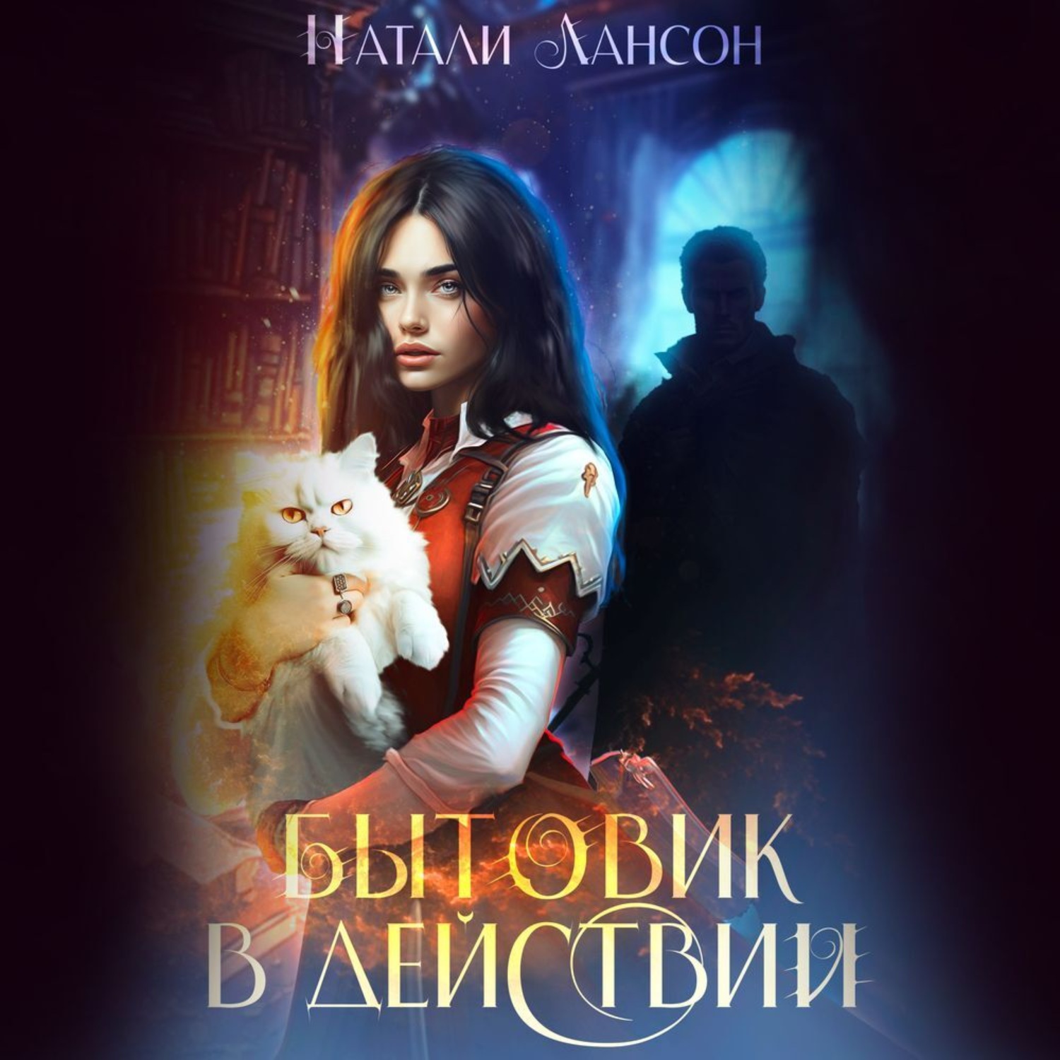 Обложка книги «Бытовик в действии»