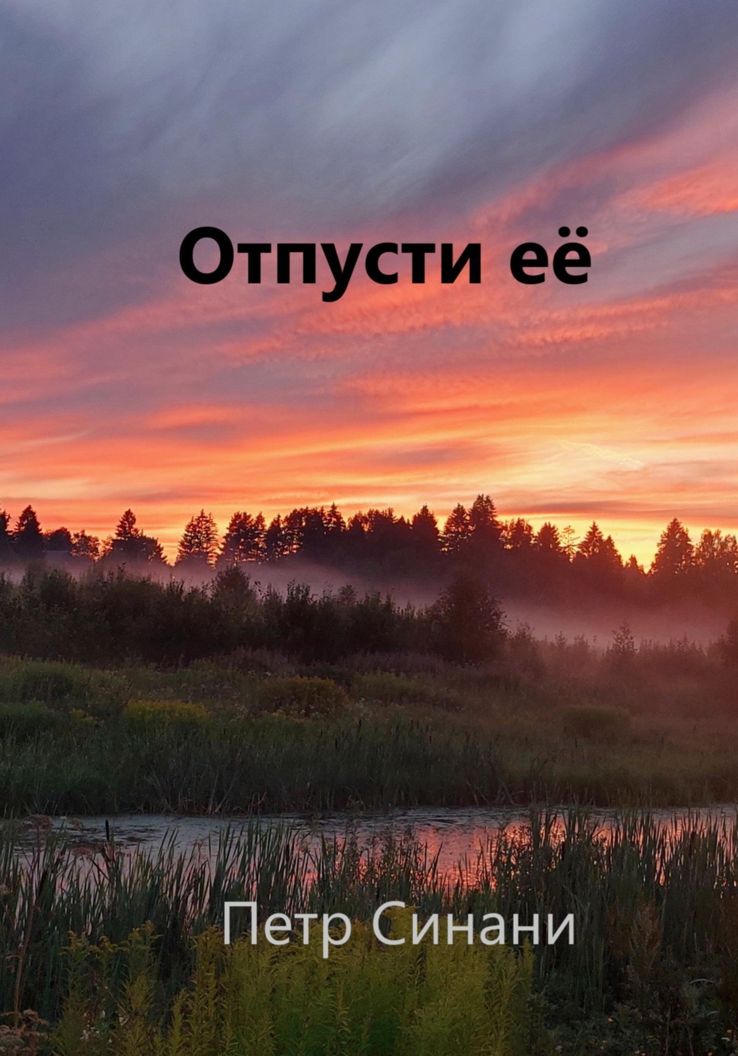 Обложка книги «Отпусти её!»