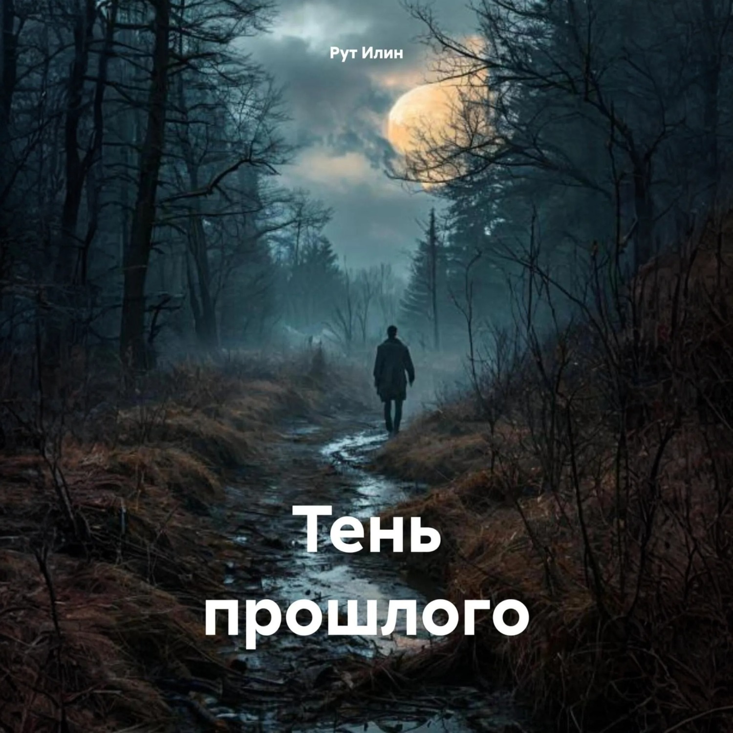 Обложка книги «Тень прошлого»