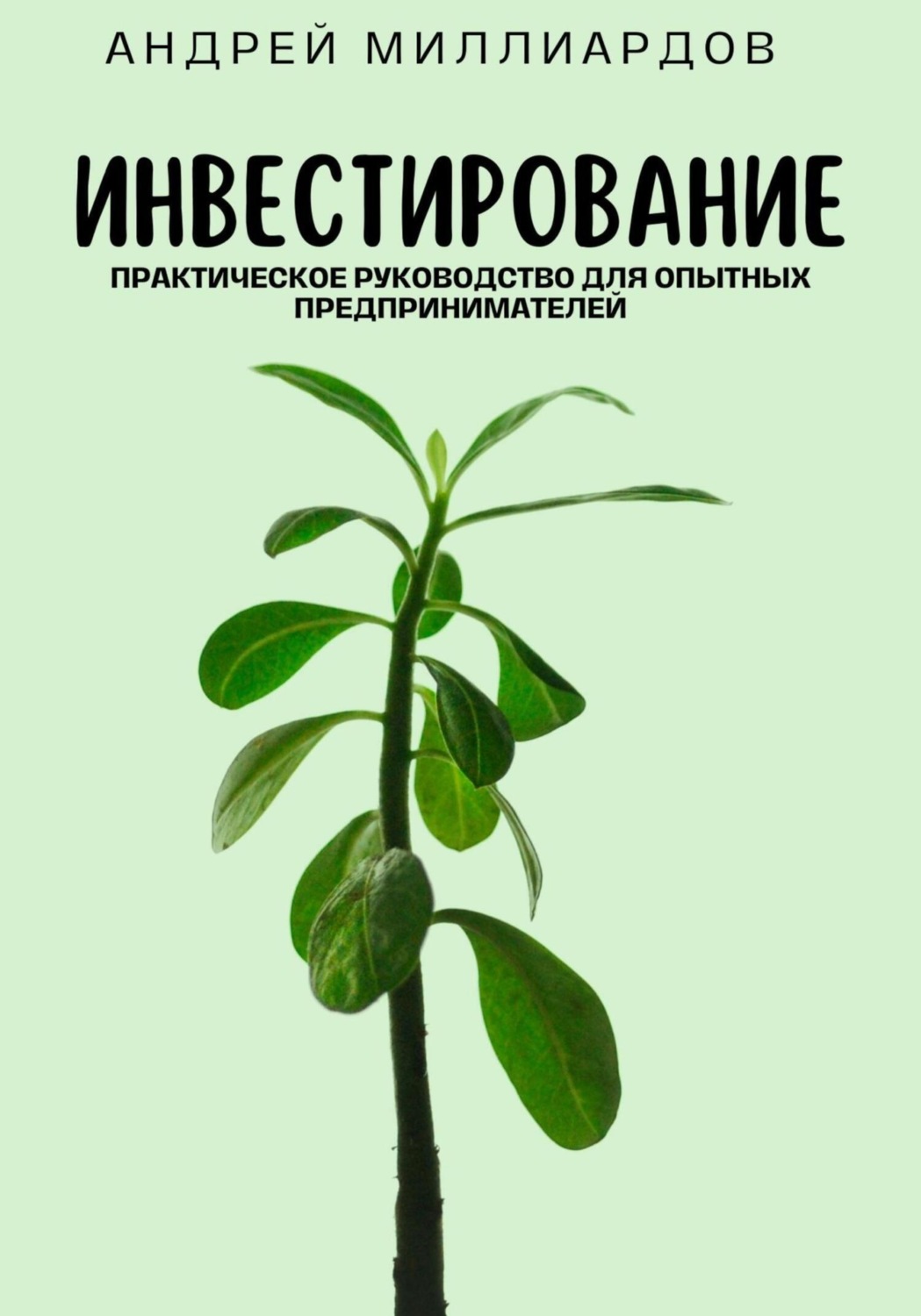 Обложка книги «Инвестирование. Практическое руководство для опытных предпринимателей»