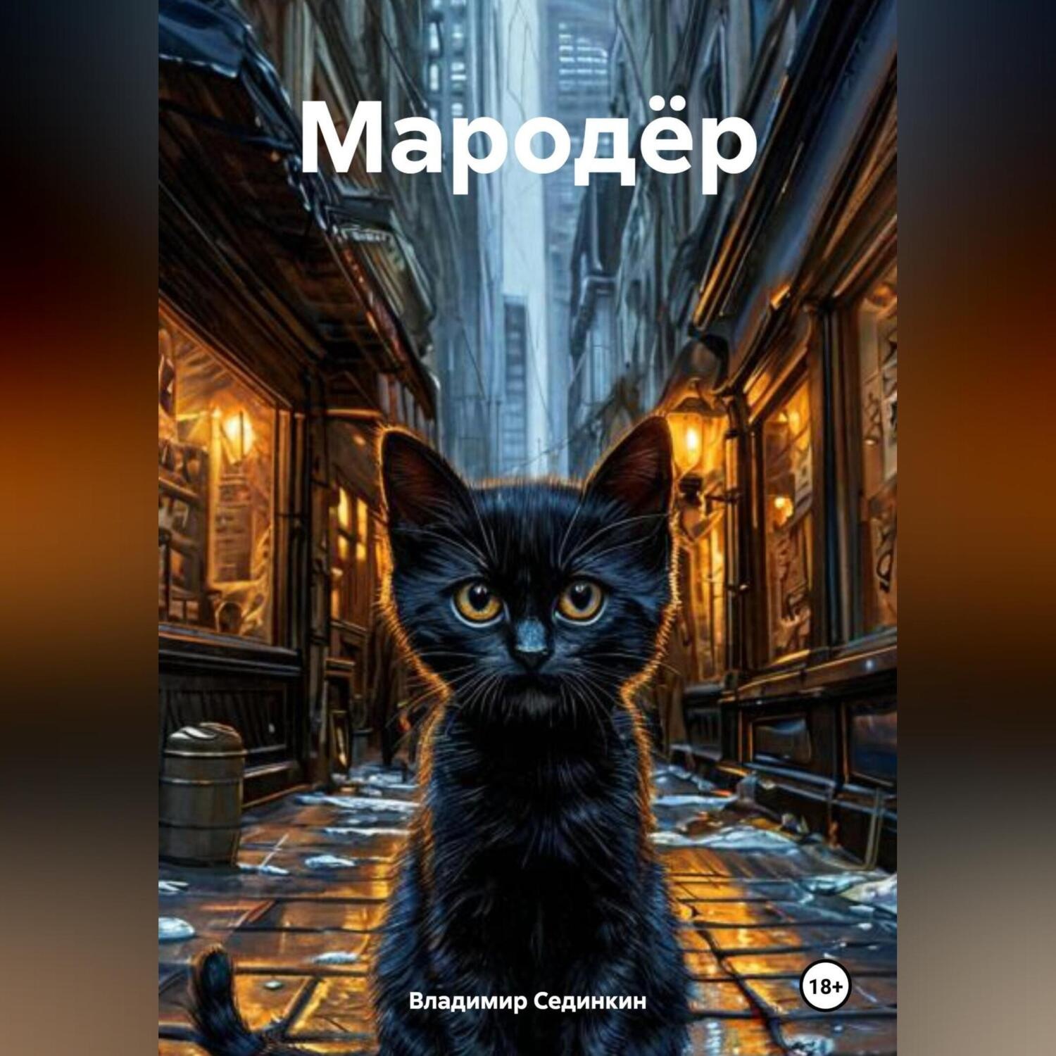 Обложка книги «Мародёр»