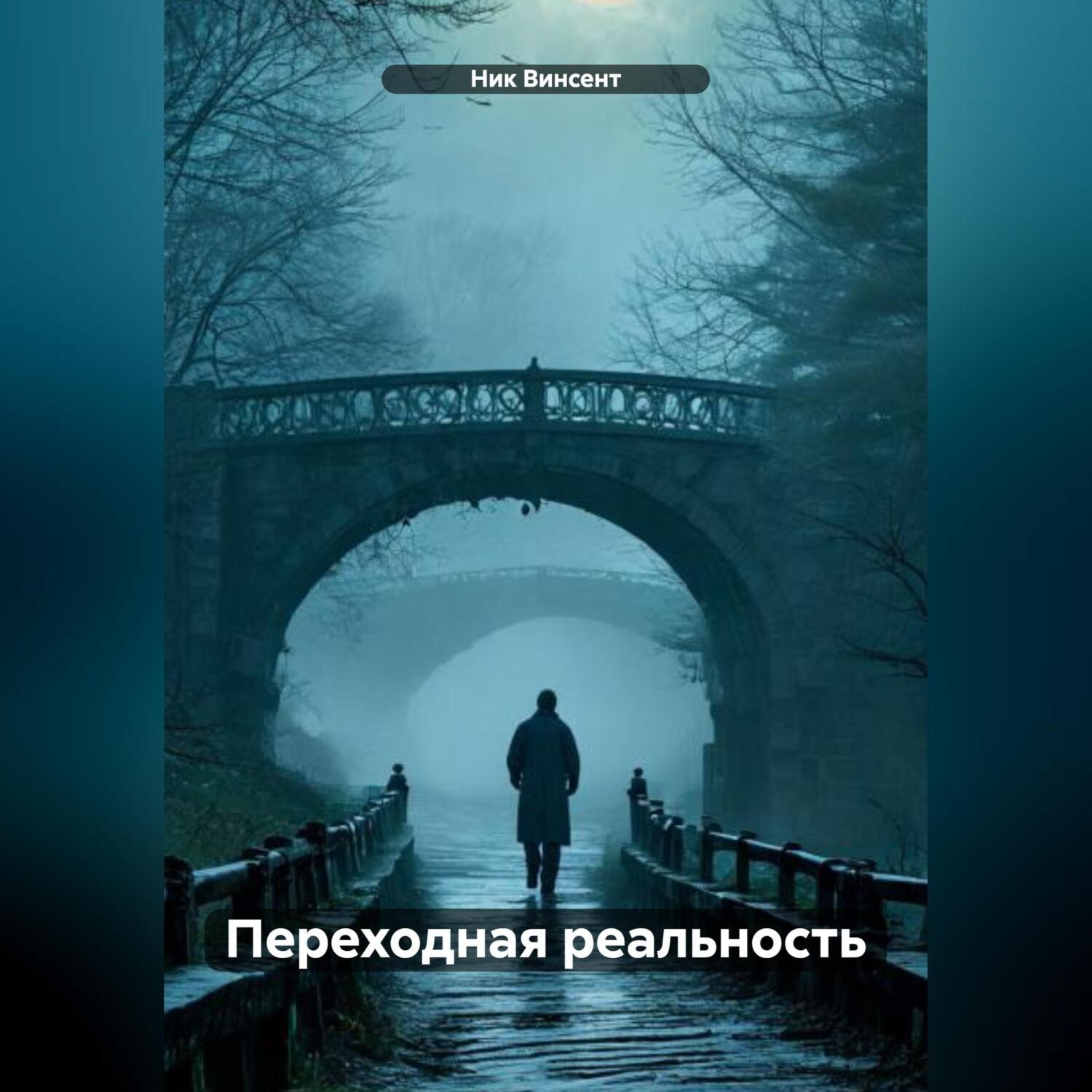 Обложка книги «Переходная реальность»