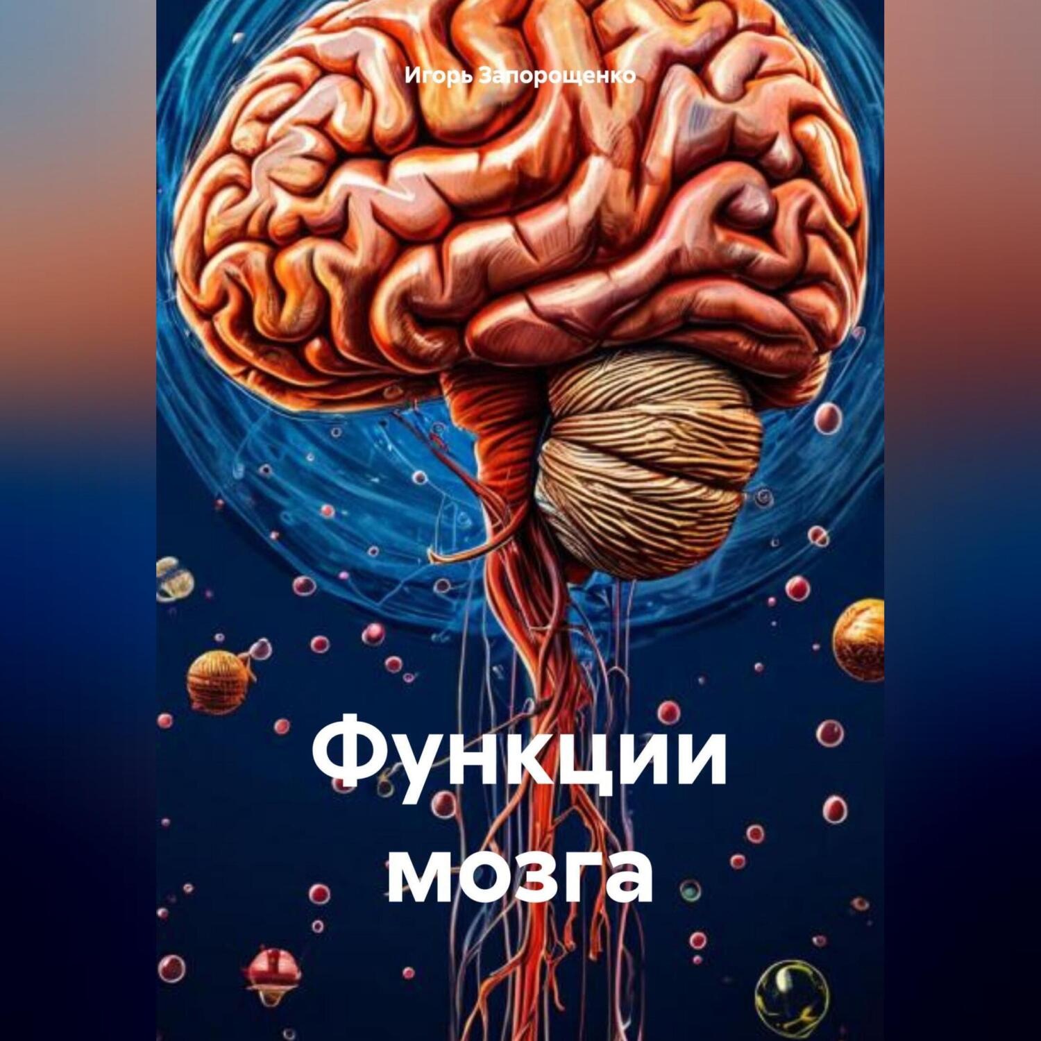 Обложка книги «Функции мозга»