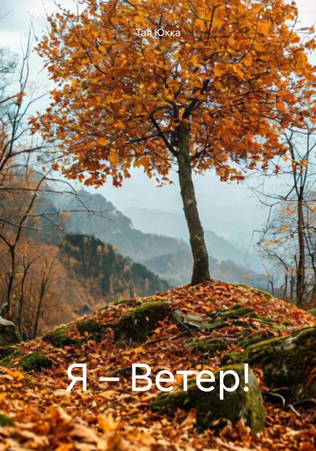 Обложка книги «Я – Ветер!»