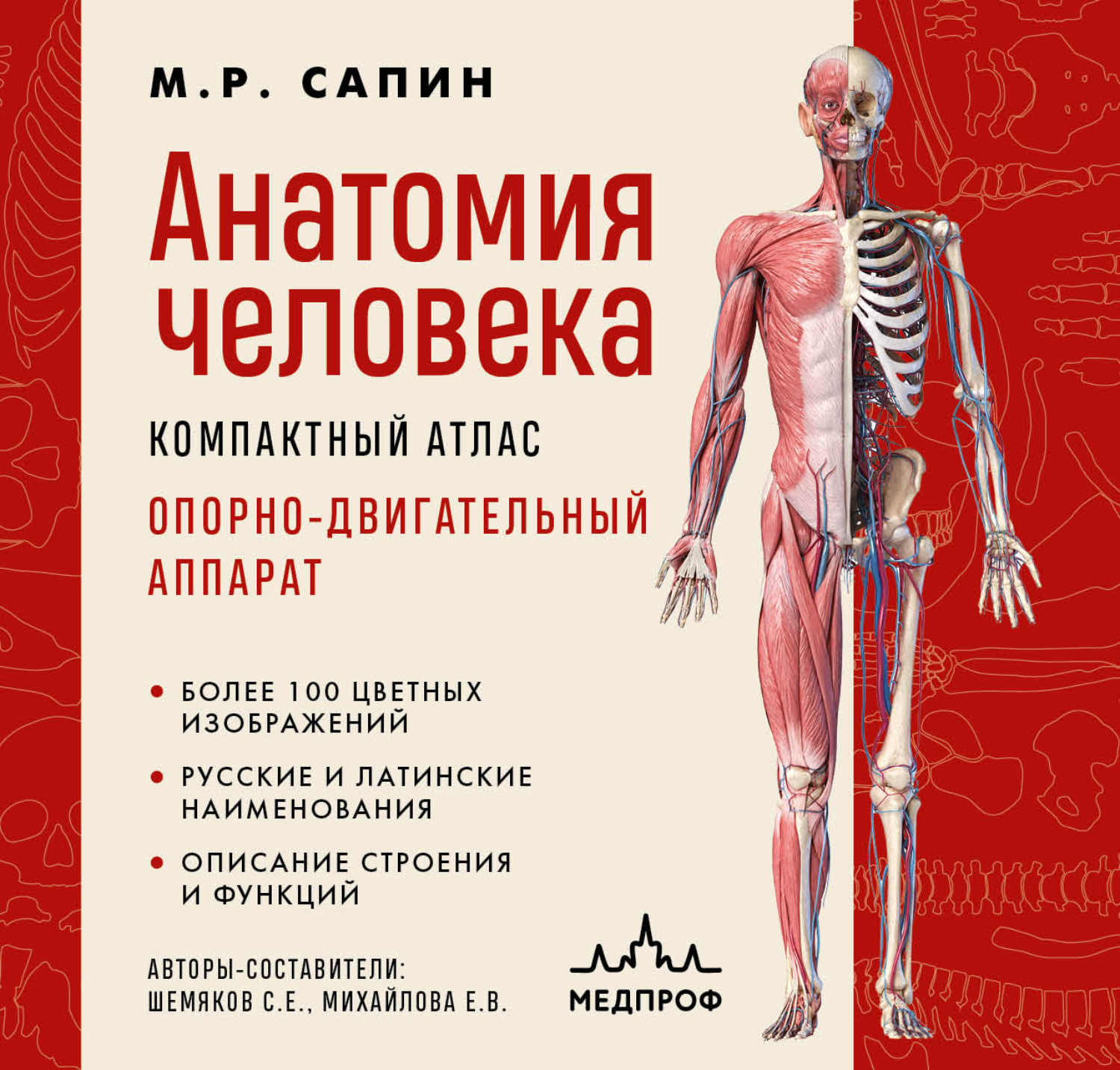 Обложка книги «Анатомия человека. Компактный атлас. Опорно-двигательный аппарат»