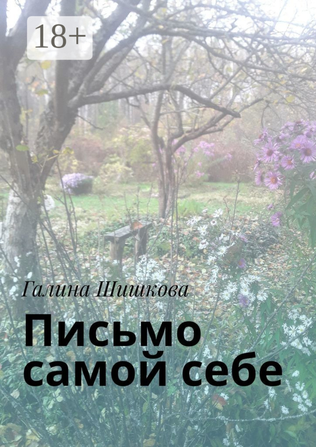 Обложка книги «Письмо самой себе»