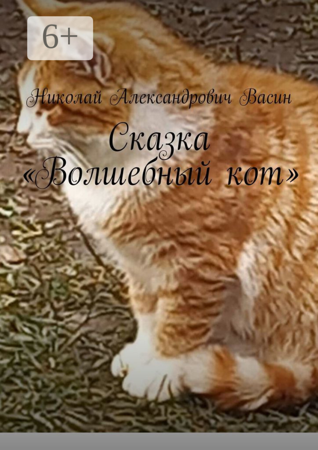 Обложка книги «Сказка «Волшебный кот»»