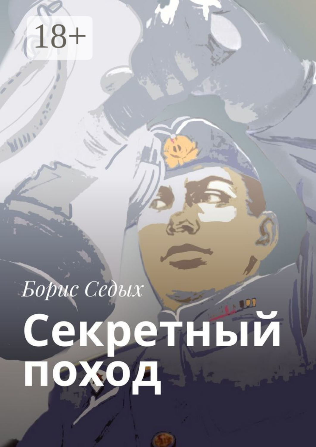 Обложка книги «Секретный поход»