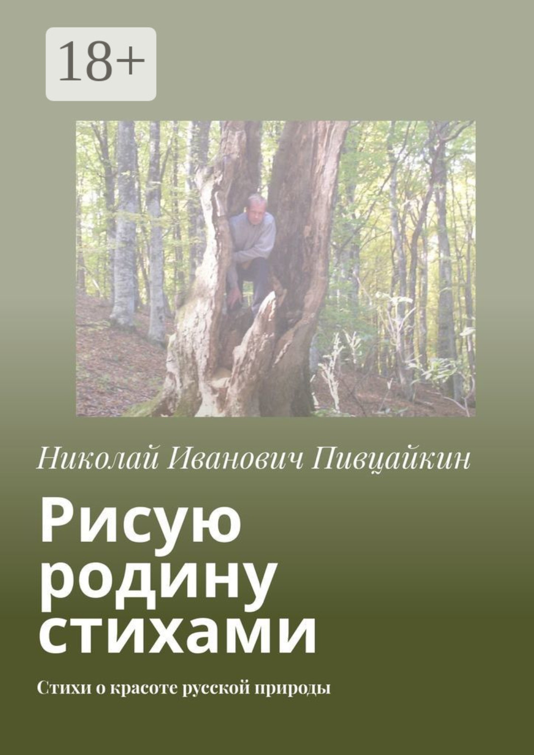 Обложка книги «Рисую родину стихами. Стихи о красоте русской природы»
