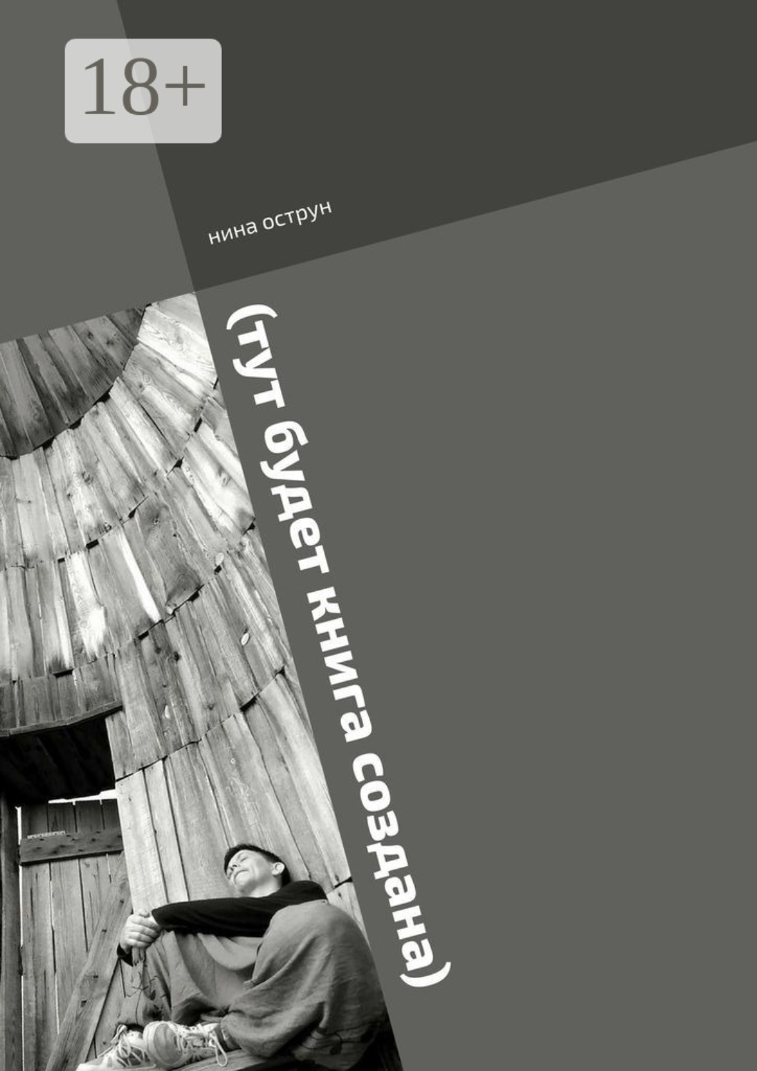 Обложка книги «(тут будет книга создана). Роман пишется»