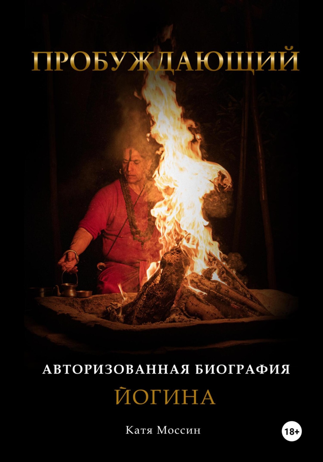 Обложка книги «Пробуждающий»
