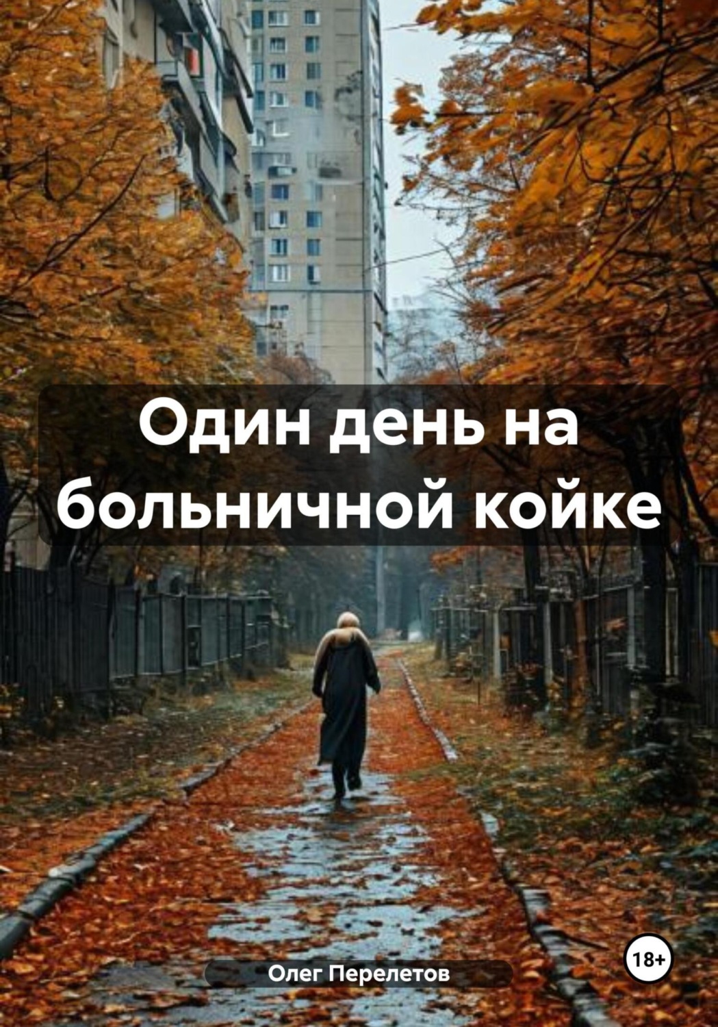 Обложка книги «Один день на больничной койке»