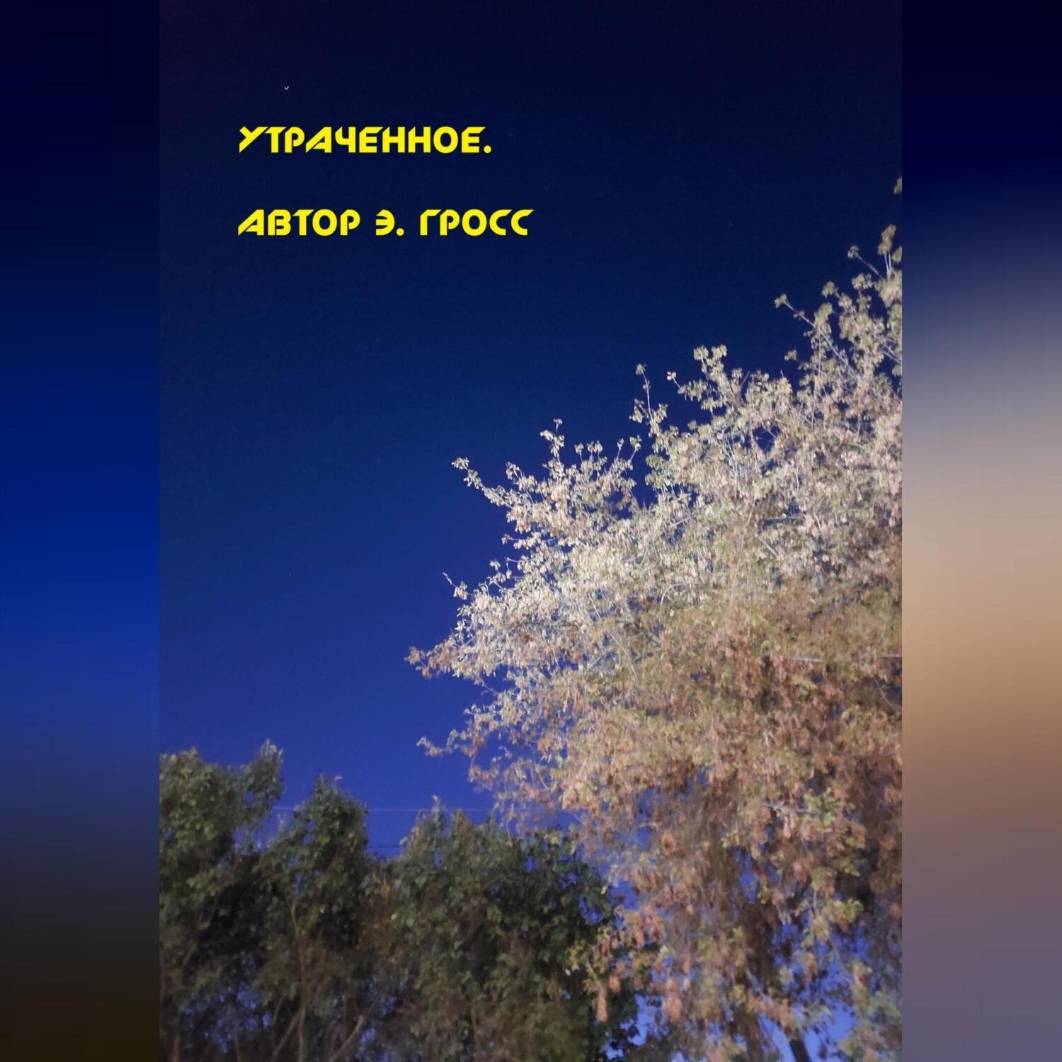 Обложка книги «Утраченное»