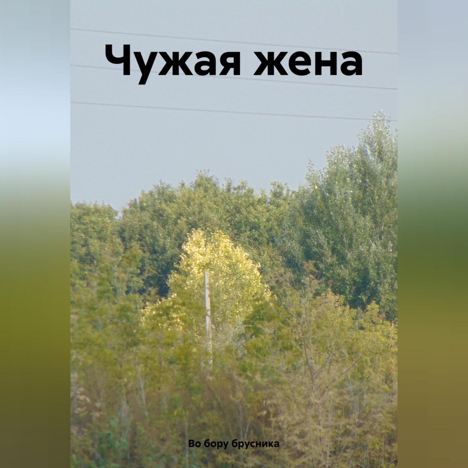 Обложка книги «Чужая жена»